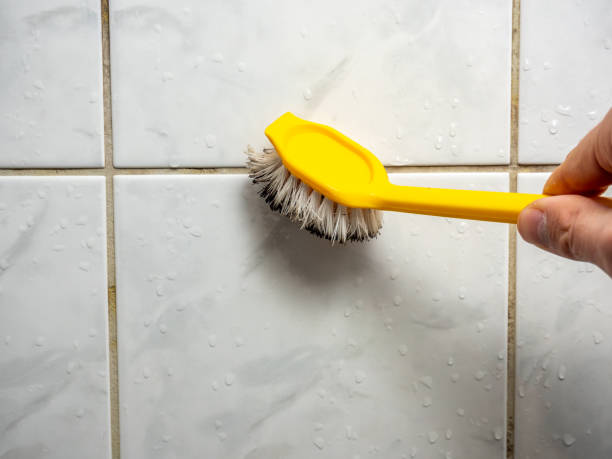 Best Mold Cleaning Services  in Oviedo, FL